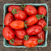Red striped heirloom plum tomatoes with green stems in a blue basket. Fresh, ripe harvest on wood.
