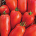Vibrant red Roma tomatoes with green stems, ideal for sauces, paste, and canning.