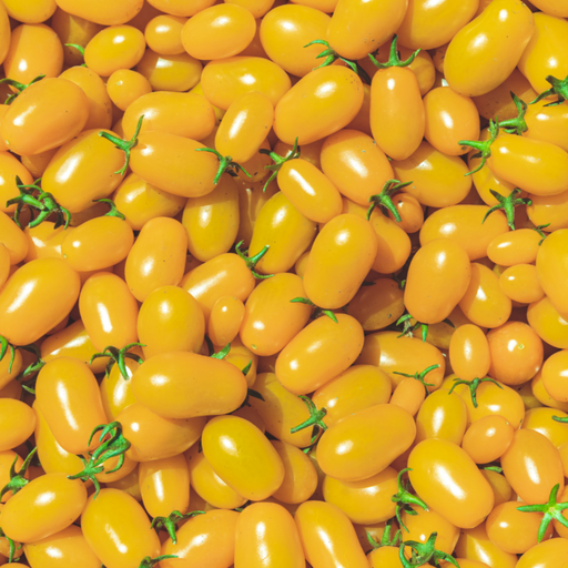 Abundant bright yellow grape tomatoes with green stems, fresh and ripe.