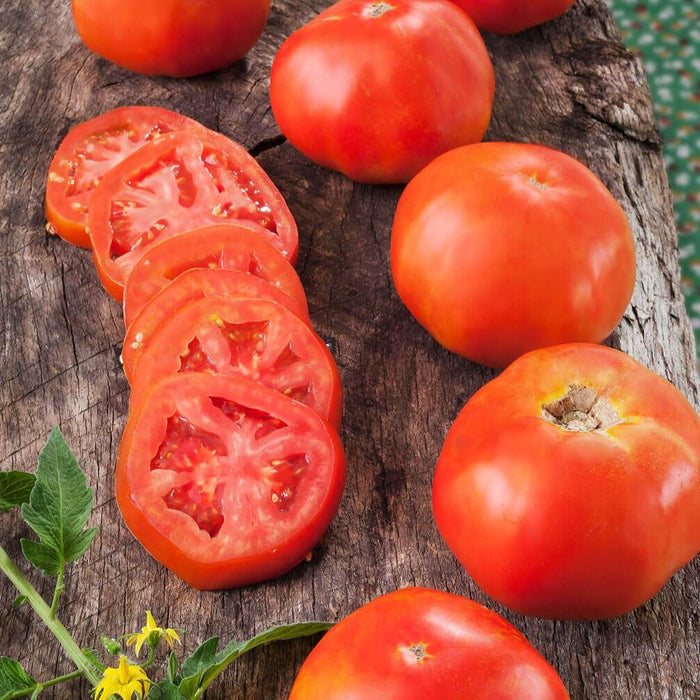 Juicy red tomatoes, whole and sliced, on a wooden board. Fresh garden produce with green leaves and yellow flowers.