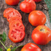 Juicy red tomatoes, whole and sliced, on a wooden board. Fresh garden produce with green leaves and yellow flowers.