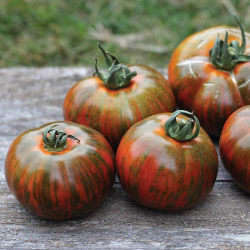 Ripe striped heirloom tomatoes, red, orange, green, on rustic wood. Fresh garden harvest.