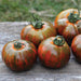 Ripe striped heirloom tomatoes, red, orange, green, on rustic wood. Fresh garden harvest.