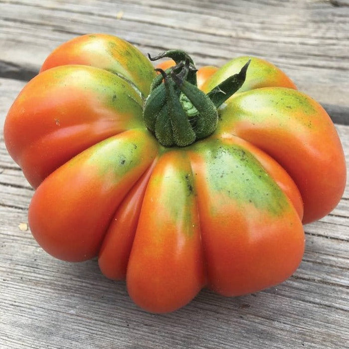 Vibrant, deeply ribbed heirloom tomato, ripening orange-red with green shoulders, on a weathered wooden surface. Garden fresh.