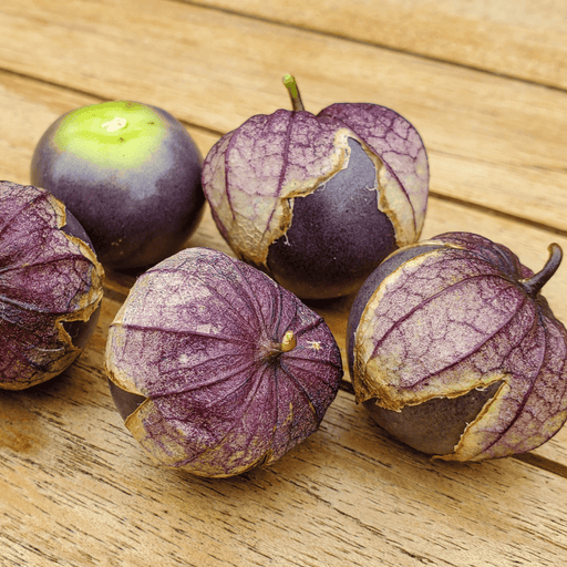 Purple tomatillos with husks on wood, one green-topped. Fresh produce for salsa and Mexican cuisine.