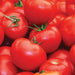 Ripe, vibrant red tomatoes with green stems. Fresh garden harvest, healthy produce.
