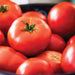 Fresh, ripe red tomatoes with green stems. Healthy, organic garden produce.
