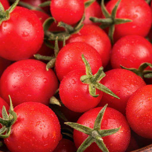 Fresh, ripe red cherry tomatoes on the vine, glistening with water droplets.