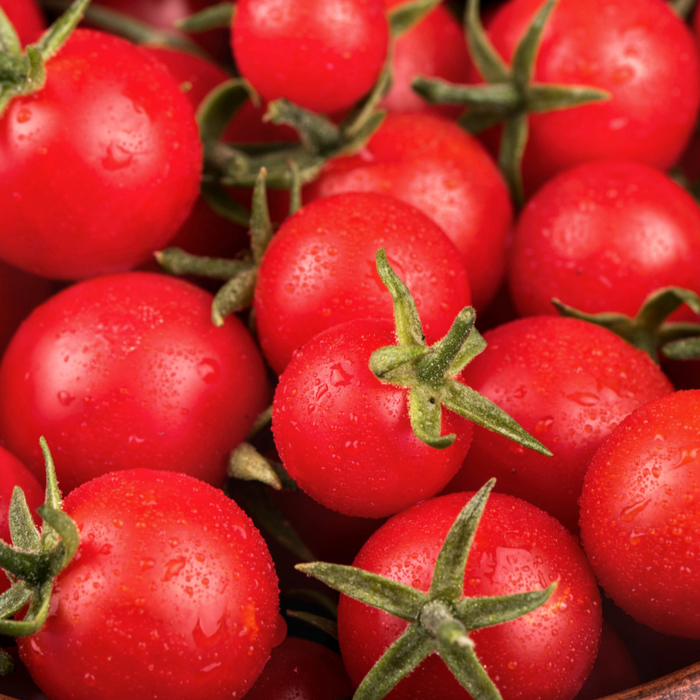 Fresh, ripe red cherry tomatoes on the vine, glistening with water droplets.