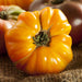 Yellow heirloom tomato, deeply ribbed, with green stem, on rustic burlap. Fresh garden produce.