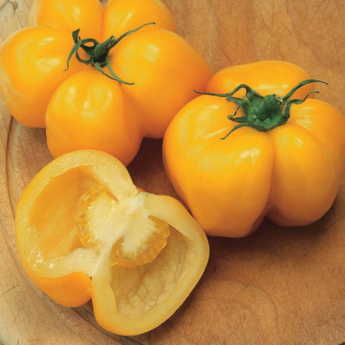 Fresh yellow stuffing tomatoes on a wooden board. Whole and one halved, revealing hollow seed cavity.