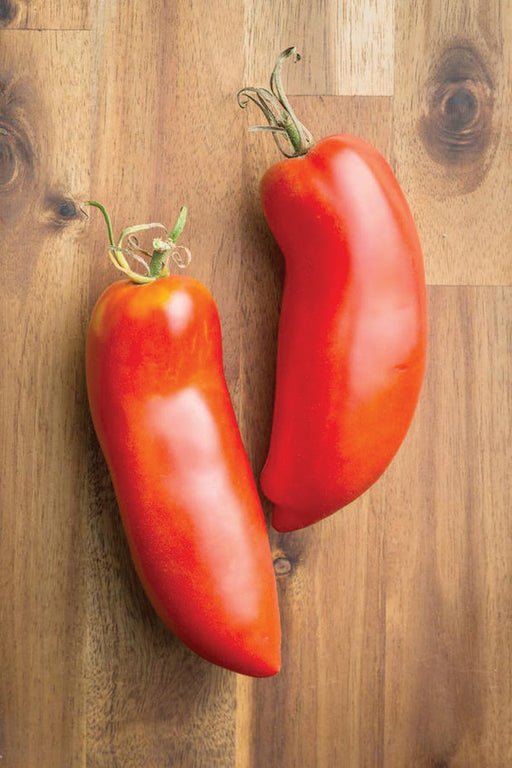 Vibrant red San Marzano tomatoes with green stems on a wooden board. Fresh paste tomatoes for sauce.