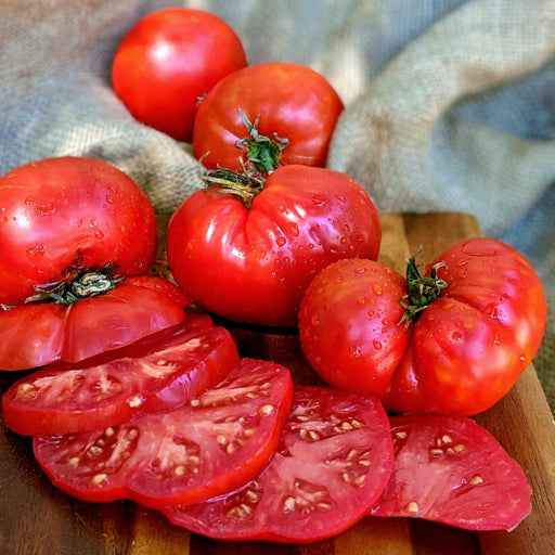 Fresh, ripe red heirloom tomatoes, whole and sliced, glistening with water droplets on a wooden cutting board.