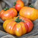 Fresh orange and yellow ribbed heirloom tomatoes on burlap. Organic garden harvest.