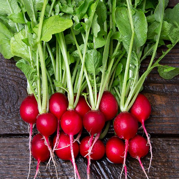 Fresh red radishes with vibrant green leaves and roots on a dark wooden surface.