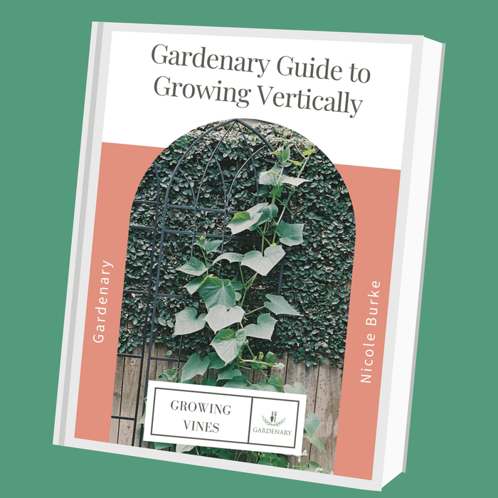 Gardenary Guide to Growing Vertically book cover. Cucumber vine climbing a trellis for vertical gardening, growing vines.