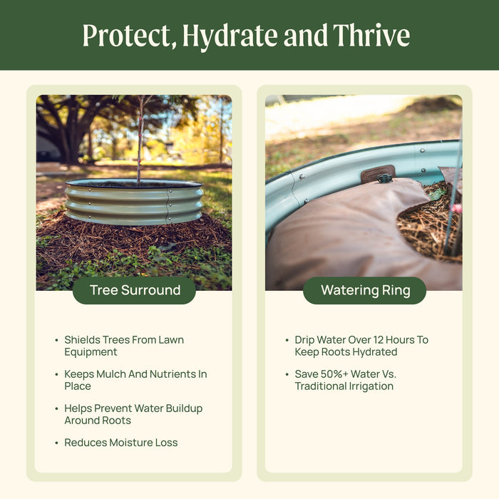 Corrugated metal tree guard and slow-release watering ring for efficient plant protection and hydration.