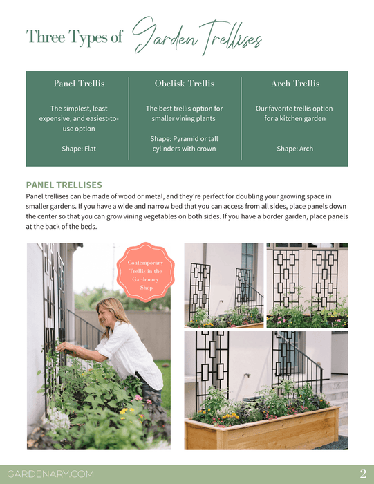 Woman tending vining plants on contemporary black panel trellises in wooden raised garden beds.