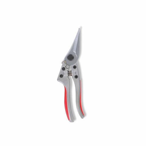 Silver bypass pruning shears with red handles, a versatile garden tool for trimming and cutting plants.