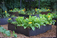Corten steel raised garden beds with green vegetables, yellow marigolds, and orange flowers. Modern edible garden design.