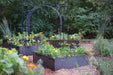 Corten steel raised garden beds with lush vegetables, bright marigolds, and elegant metal trellises in an organic backyard.