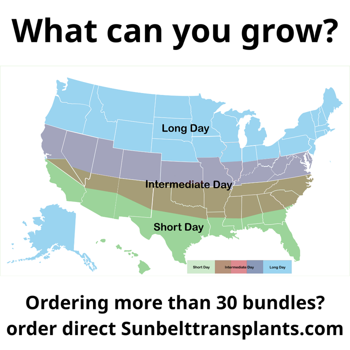 US map: plant growing zones by day length (Long, Intermediate, Short Day). Sunbelt Transplants.