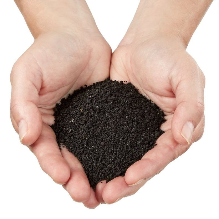 Cupped hands holding rich dark garden soil, perfect for planting and healthy plant growth.
