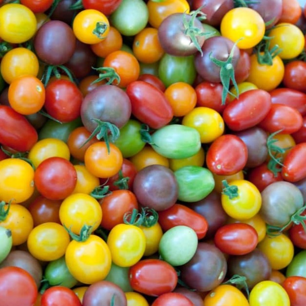 Heirloom cherry tomatoes in vibrant red, yellow, orange, green, and purple. Fresh garden harvest.