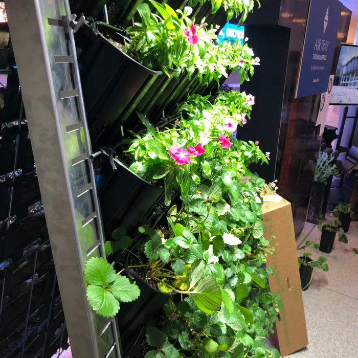 Lush vertical garden with pink flowers and green strawberry plants in black planters. Air Tray Technologies display.