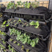 Vertical wall garden with tiered black fabric planters growing strawberries, leafy greens, and herbs.