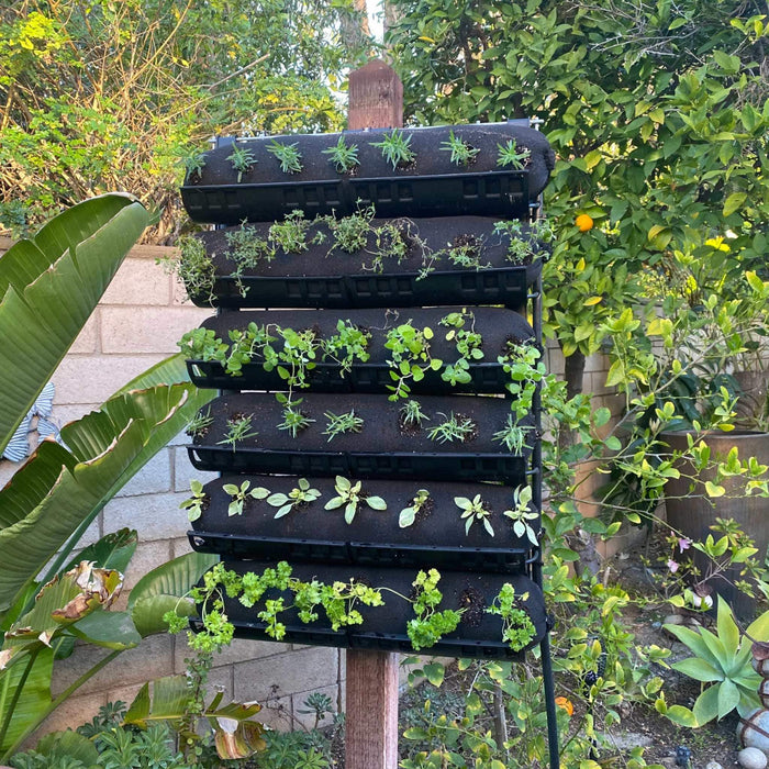 Vertical garden planter with six tiers of fresh herbs and seedlings, including parsley, in an outdoor backyard setting.