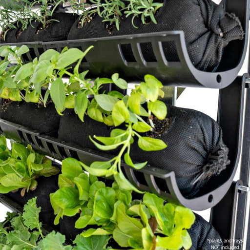 Multi-tier vertical garden with fresh herbs & greens in black fabric pots & dark gray wall-mounted planters. Ideal for small spaces.