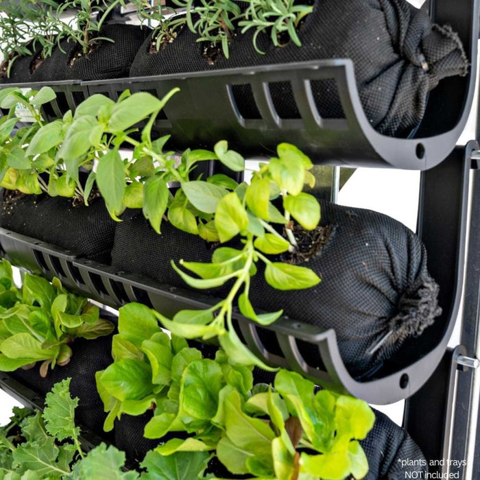 Multi-tier vertical garden with fresh herbs & greens in black fabric pots & dark gray wall-mounted planters. Ideal for small spaces.