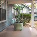 Dragon fruit cactus in a mobile olive green metal raised garden bed planter with trellis on a patio.