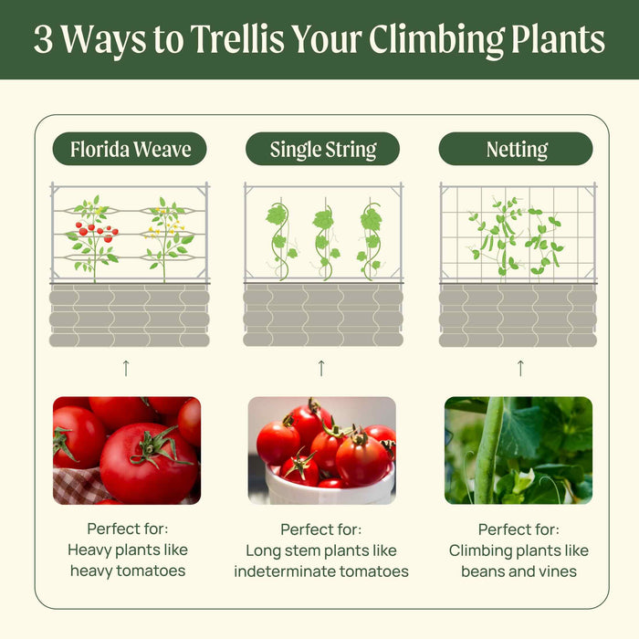 Trellising methods: Florida Weave for heavy tomatoes, Single String for indeterminate tomatoes, Netting for beans and vines.