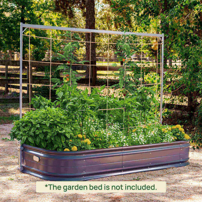 Tall metal garden trellis with twine grid supporting tomatoes, peppers, basil, and marigolds in a raised bed.