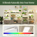 Modern indoor plant grow shelves with full-spectrum white LED lights, showcasing various plants and seedlings in a home setting.