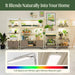 Modern indoor plant stands with full spectrum LED grow lights, nurturing plants and seedlings in a stylish home.