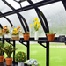 Polycarbonate greenhouse interior with black frame, shelves, potted plants, colorful flowers, and gardening accessories.
