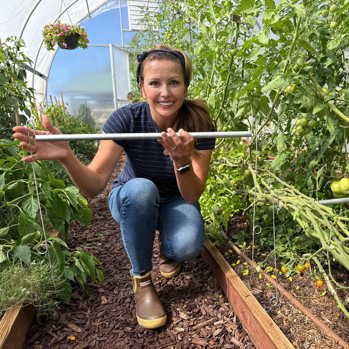 Happy woman in a greenhouse with ripening tomatoes, peppers, and herbs. She's demonstrating a metal garden stake in raised beds.