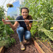 Happy woman in a greenhouse with ripening tomatoes, peppers, and herbs. She's demonstrating a metal garden stake in raised beds.