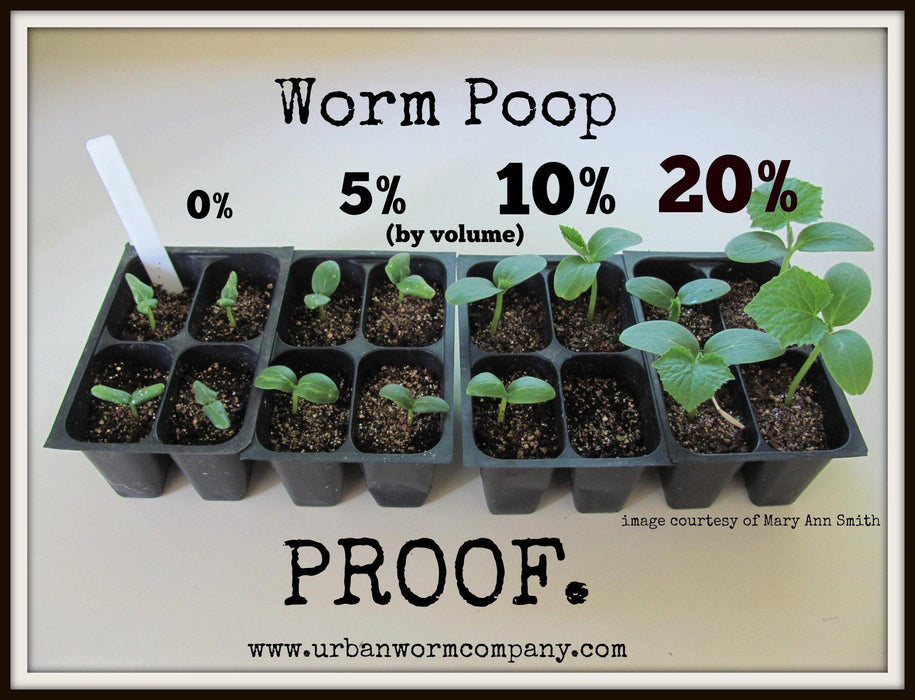 Seedlings in trays demonstrate enhanced plant growth with increasing percentages (0-20%) of worm castings (vermicompost).