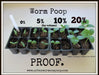 Seedlings in trays demonstrate enhanced plant growth with increasing percentages (0-20%) of worm castings (vermicompost).