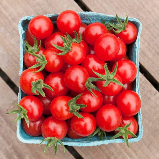 Ripe, vibrant red cherry tomatoes with green stems in a blue berry basket on a rustic wooden table.