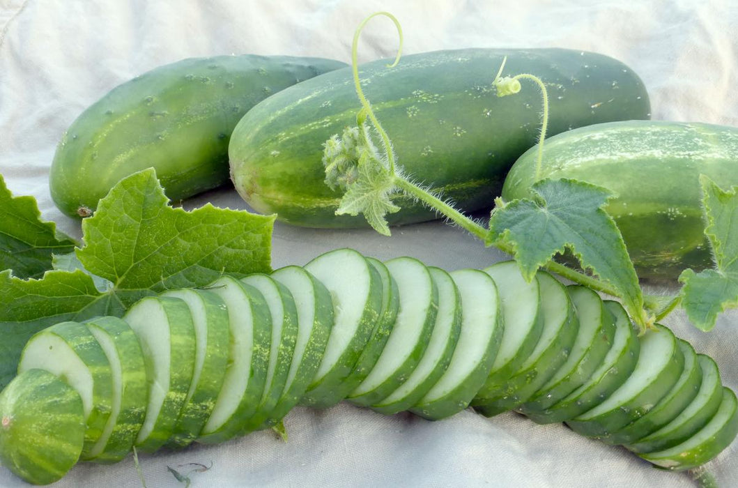Fresh organic cucumbers, whole and sliced, with green leaves and tendrils. Healthy garden produce.