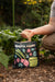 Gardener applying Mindful Farmer AZOMITE mineral amendment to plants. Great for soil health & robust garden growth.
