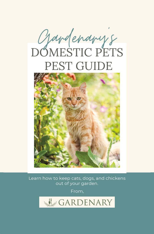Orange tabby cat in a garden, cover for Gardenary's Domestic Pets Pest Guide. Learn to keep pets out of gardens.
