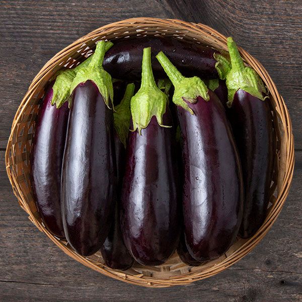 Fresh purple eggplants in a woven basket. Organic aubergine produce on rustic wood.