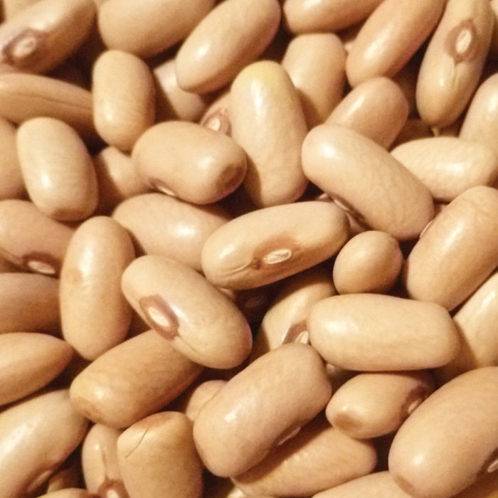 Close-up of dried light brown beans. Healthy legumes for cooking, rich in protein and fiber.