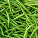 Fresh green beans, vibrant healthy organic vegetables, raw produce for cooking.